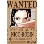 One Piece Steckbrief: Nico Robin